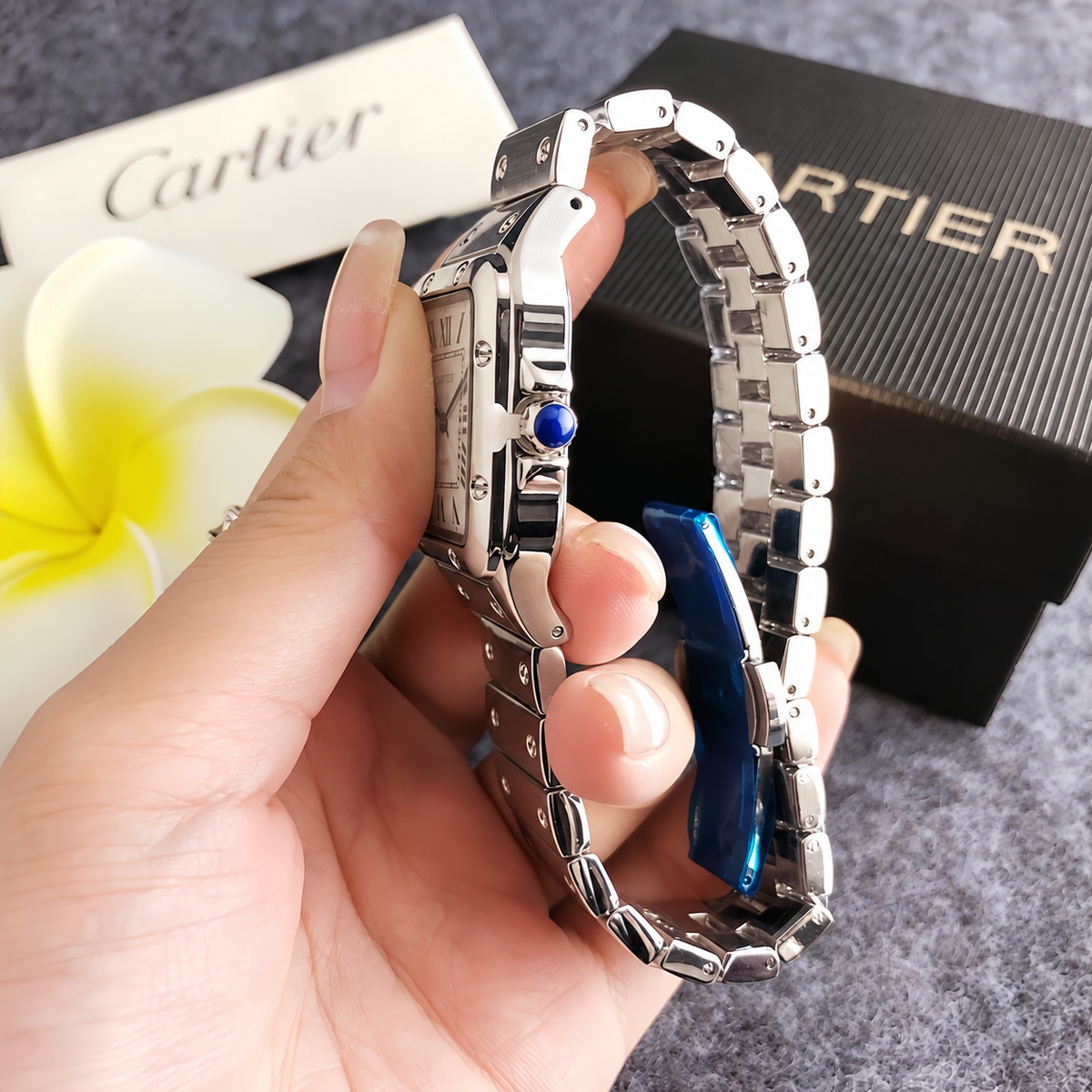 CT Santos Premium Watch